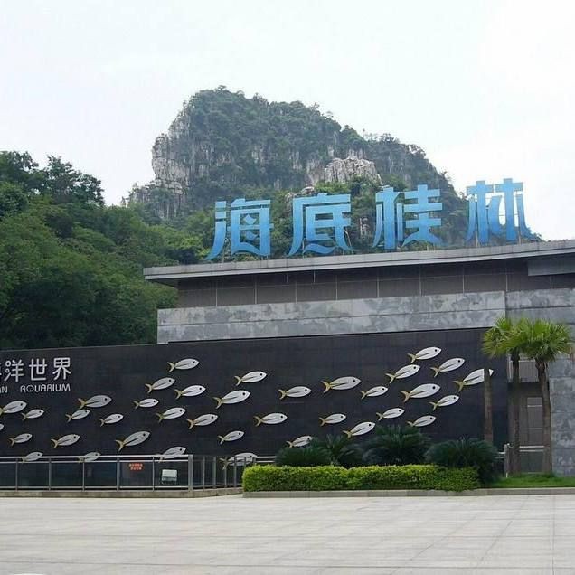 桂林水族店，桂林水族店經營范圍