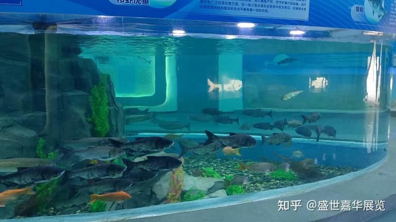 桂林水族店，桂林水族店經營范圍