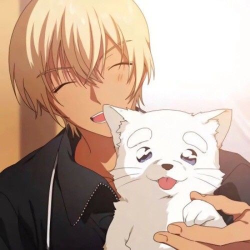 桂林水族店，桂林水族店經營范圍