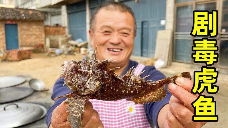 福建老虎魚圖片及價格，福建某河道出現\