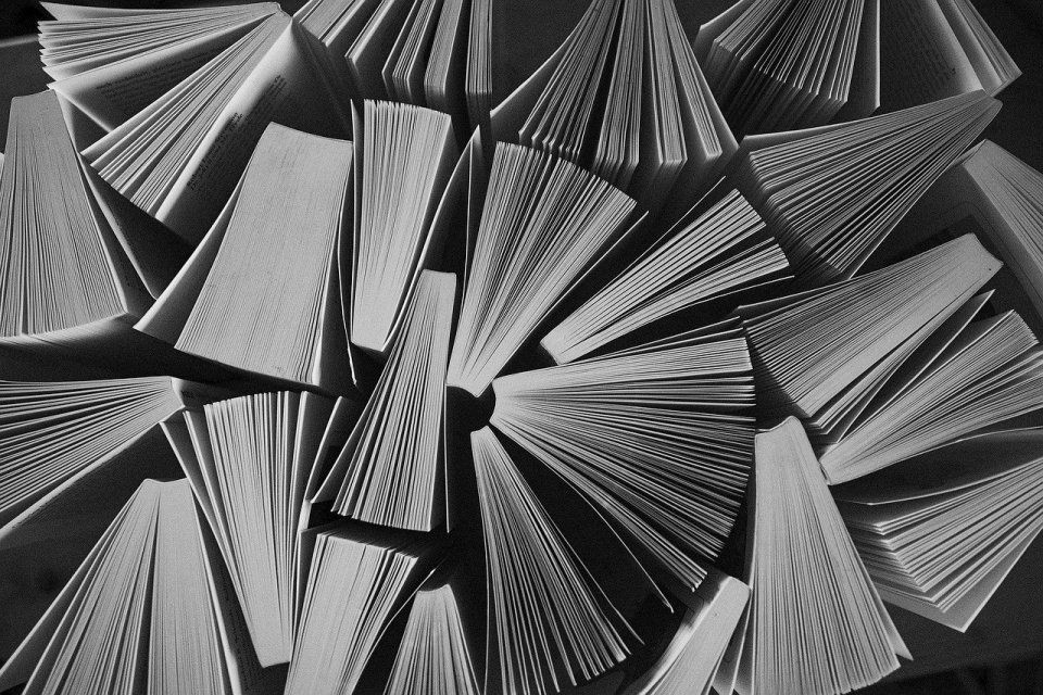 黑河水族批發(fā)市場，東北地區(qū)重要的水族產(chǎn)業(yè)集散地——黑河水族批發(fā)市場