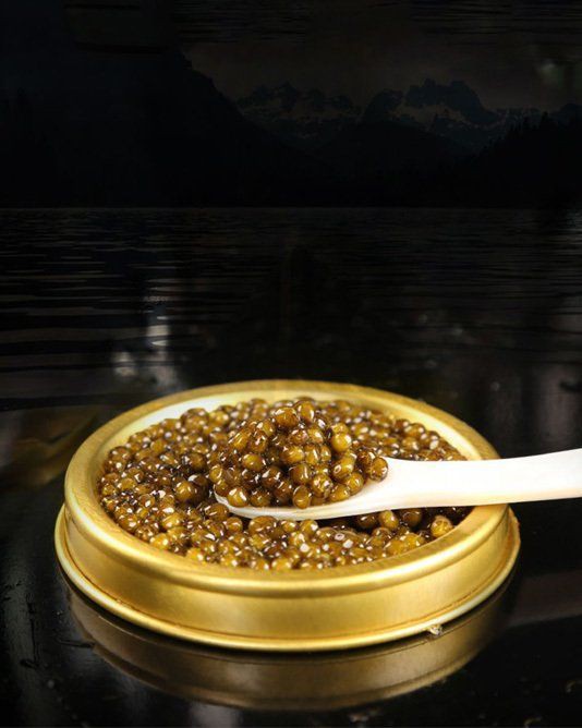 黑河水族批發(fā)市場，東北地區(qū)重要的水族產(chǎn)業(yè)集散地——黑河水族批發(fā)市場