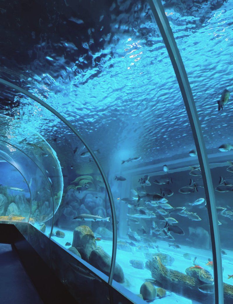 紹興水族館，探秘浙東淡水魚館：一場流動的文化盛宴