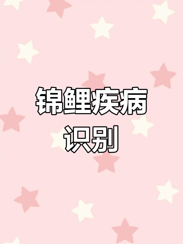 如何判斷龍鳳錦鯉是否健康？，如何通過外觀判斷錦鯉健康與否