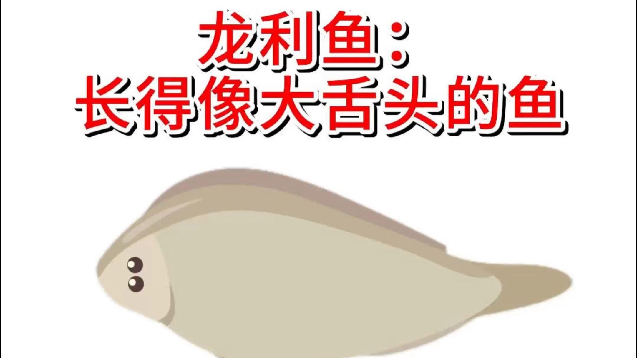 如何區分巴沙魚和龍利魚？，如何區分龍利魚與巴沙魚