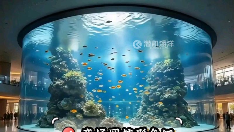 海北藏族自治州魚缸定做,海北藏族自治州定制魚缸 全國水族館企業名錄 第2張 海北藏族自治州魚缸定做,海北藏族自治州定制魚缸 海北藏族自治州魚缸定做,海北藏族自治州定制魚缸 全國水族館企業名錄 第2張