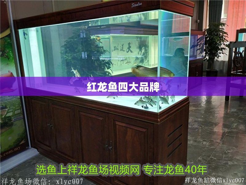 紅龍品牌歷史沿革，紅龍品牌介紹