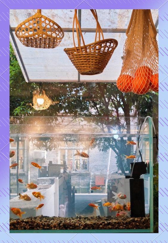 汕頭魚缸店，中國供應商水族店經營范圍有哪些