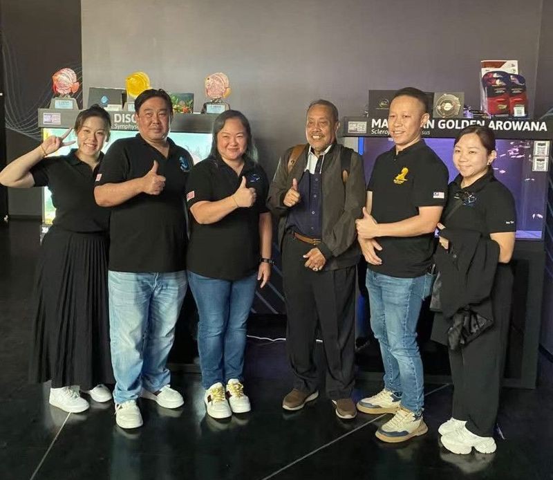 恩施州龍魚店，南信水族龍魚貿(mào)易有哪些特色服務(wù)南信水族龍魚貿(mào)易有哪些