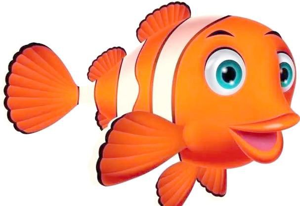 玫瑰斑魚圖片，斑點玫瑰魚