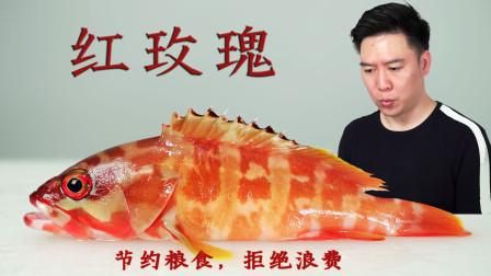 玫瑰斑魚圖片，斑點玫瑰魚