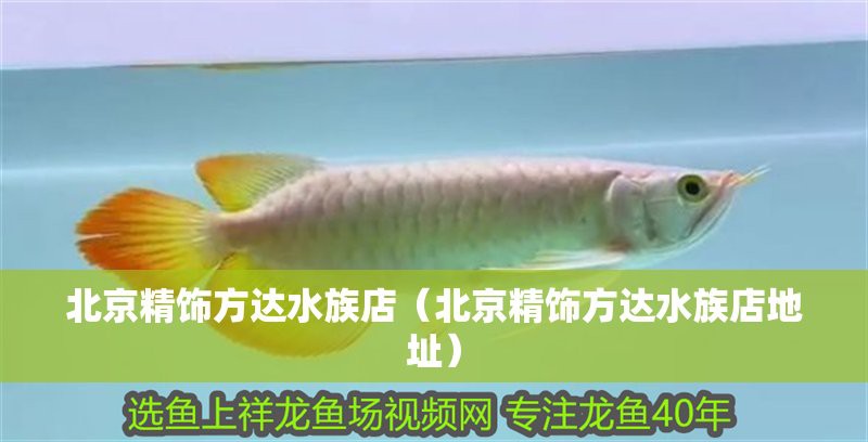 朝陽水族店，北京富國海底世界|開啟夢幻海洋之旅攜程旅行
