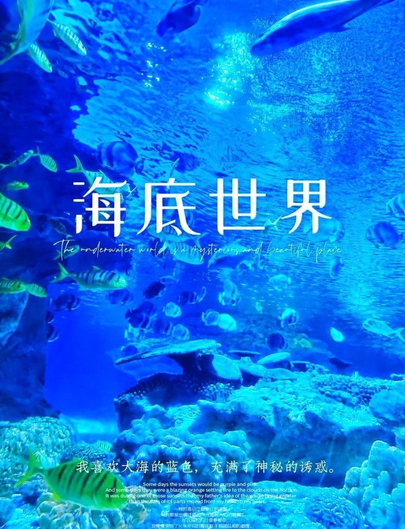 朝陽水族店，北京富國海底世界|開啟夢幻海洋之旅攜程旅行