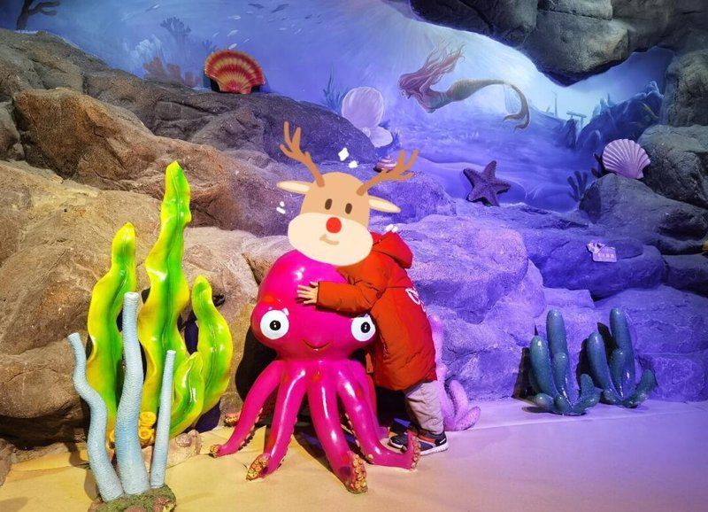 邯鄲水族店，邯鄲市水族業態呈現“兩極分化”傳統市場以花卉為主