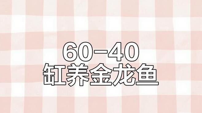 60寬魚缸適合養什么龍魚？，60寬魚缸適合養什么龍魚，10大忌諱全民小視頻展開