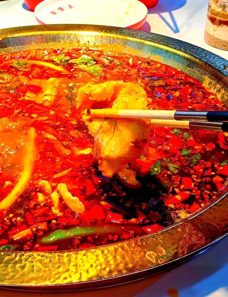 西寧龍魚店，西寧魚躍龍魚市場