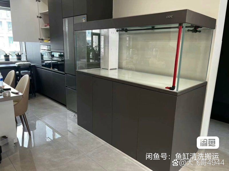 柳州魚缸維護，柳州地區(qū)魚缸維護的完整流程和注意事項