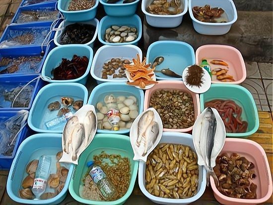 瀘州龍魚店，瀘州海鮮批發市場附近開設特色海鮮餐飲店