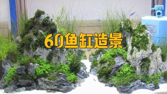如何布置60cm寬的龍魚缸？，《如何布置60cm寬的龍魚缸》60cm寬龍魚缸布置方法 如何布置60cm寬的龍魚缸？，《如何布置60cm寬的龍魚缸》60cm寬龍魚缸布置方法 龍魚論壇 第1張