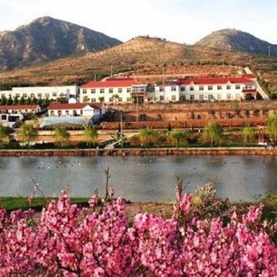 招遠龍魚店，“招遠龍魚店”公開資料中未查詢到具體餐飲門店信息