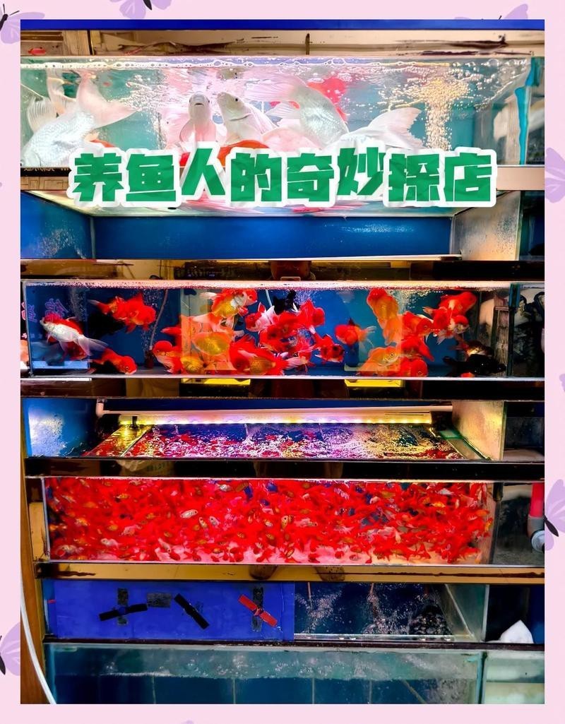 小二溝水族店，小二溝水族店怎么樣