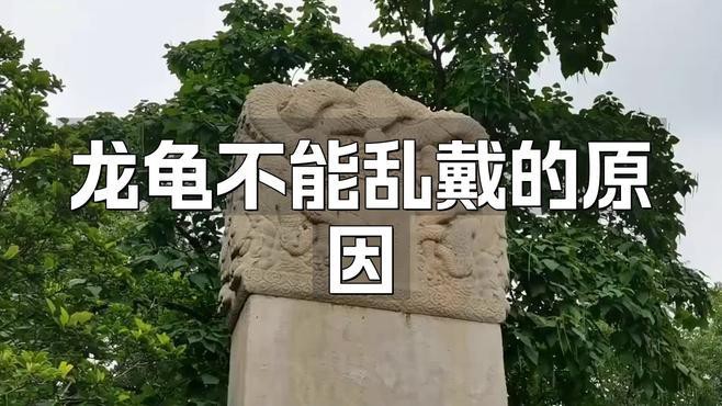 佩戴龍龜有哪些講究，翡翠龍龜手把件有什么講究政經(jīng)緯度龍龜手把件有什么講究