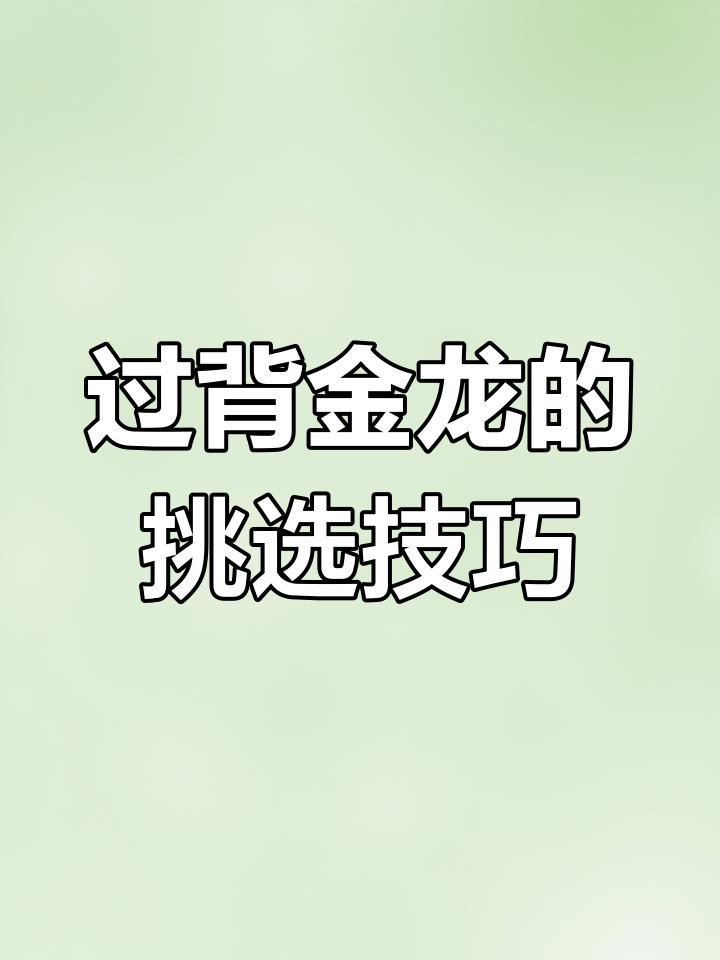 如何判斷過背金龍是否純種？，如何挑選過背金龍