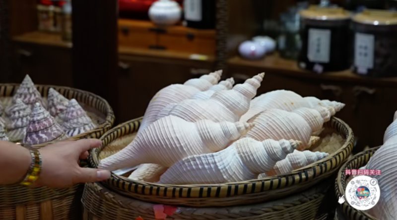 潮南龍魚店，汕頭兩英福龍魚粥火鍋店