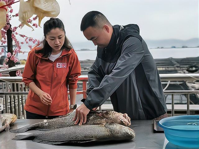 潮南龍魚店，汕頭兩英福龍魚粥火鍋店