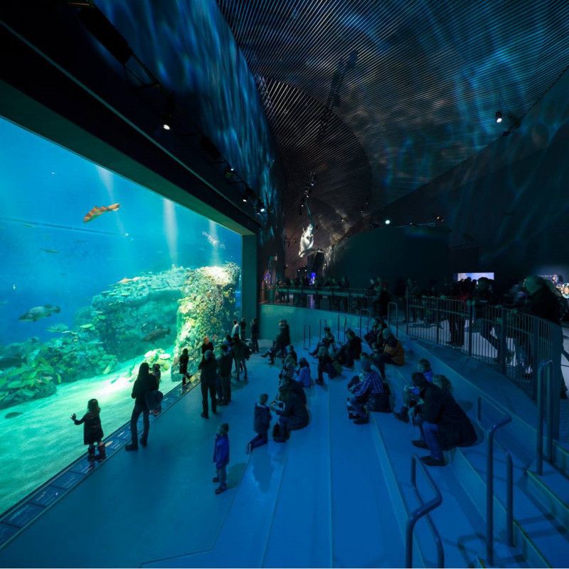 巢湖水族館，合肥巢湖水族館是當地頗具特色的海水生物展示場所
