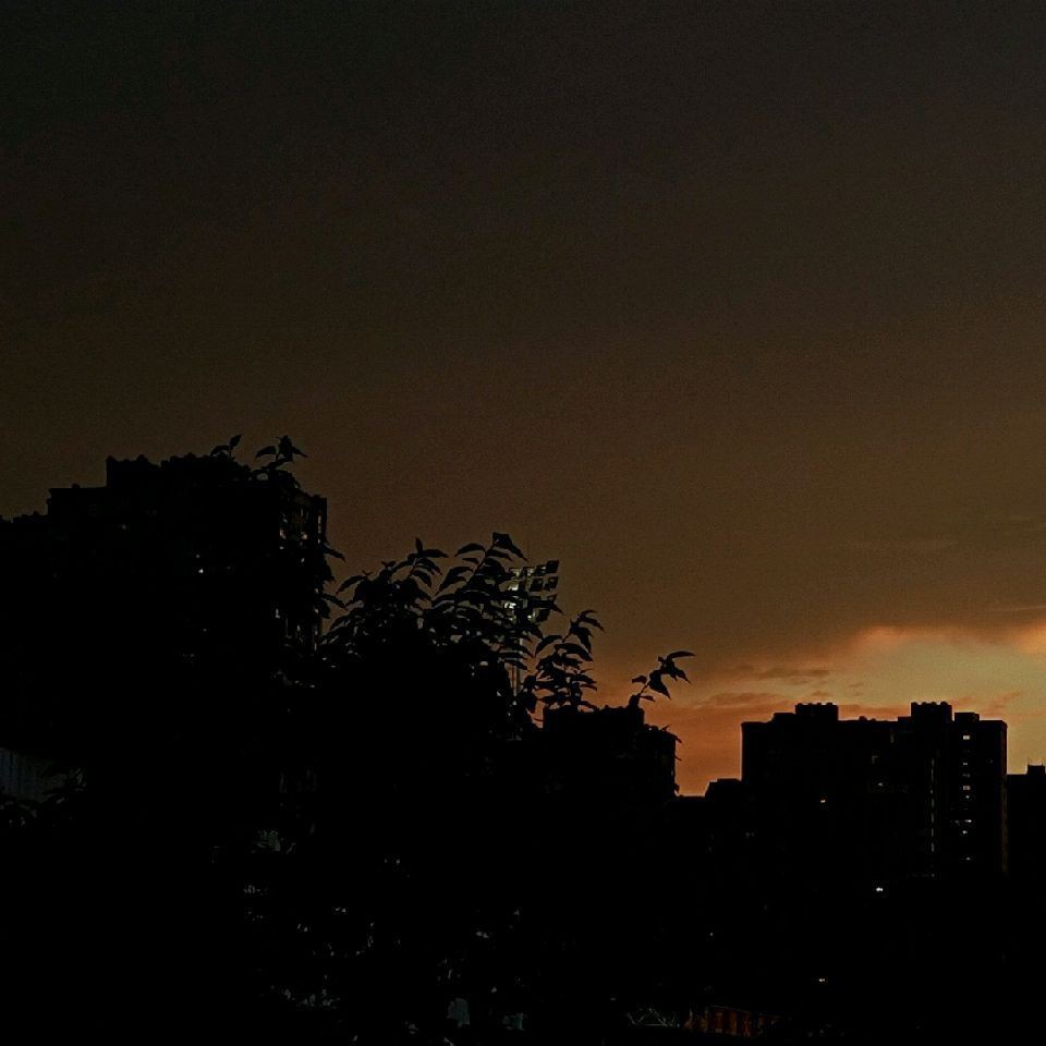 牡丹江魚缸批發市場，關于牡丹江魚缸批發市場的綜合信息整理