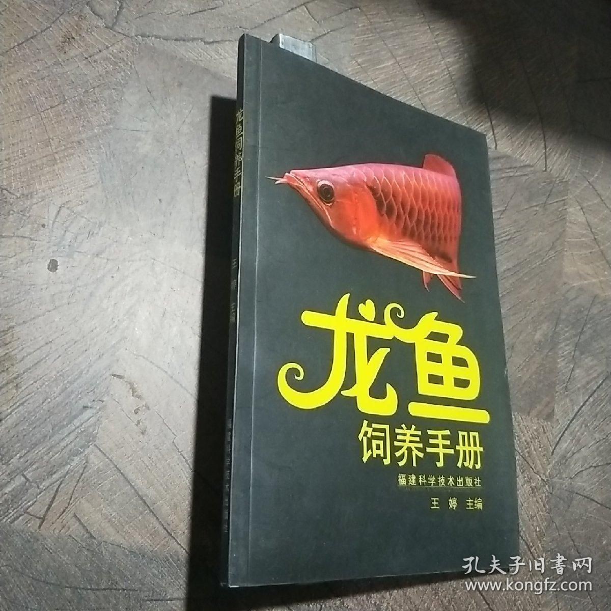 龍魚飼養(yǎng)方法和技術(shù)：關(guān)于龍魚飼養(yǎng)的方法和技術(shù)