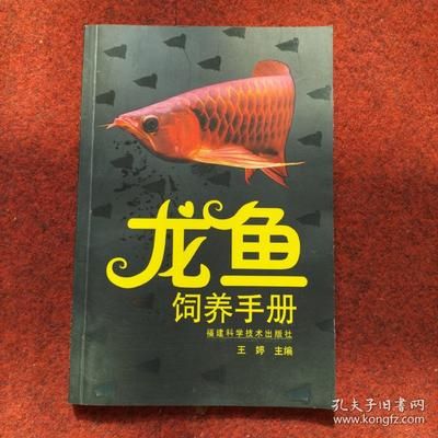 龍魚飼養(yǎng)方法和技術(shù)：關(guān)于龍魚飼養(yǎng)的方法和技術(shù)