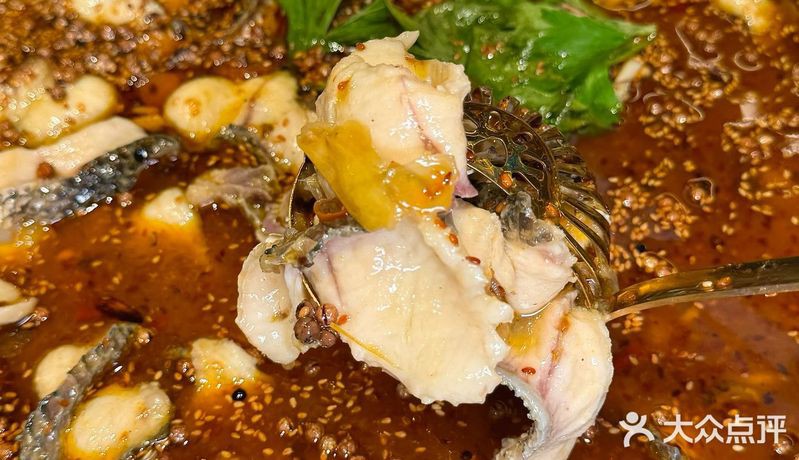 天山龍魚店，內(nèi)蒙古阿魯科爾沁旗天山鎮(zhèn)龍魚一號觀賞魚店成立