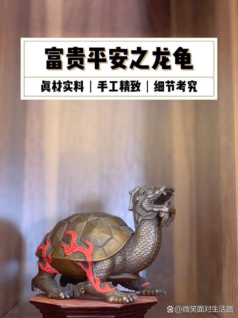 如何找到更多高清龍龜圖片？，尋找更多高清龍龜圖片可通過多種途徑實現