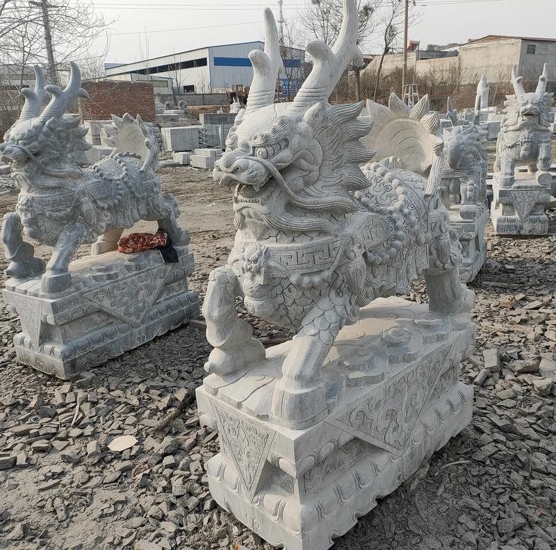 如何找到更多高清龍龜圖片？，尋找更多高清龍龜圖片可通過多種途徑實現