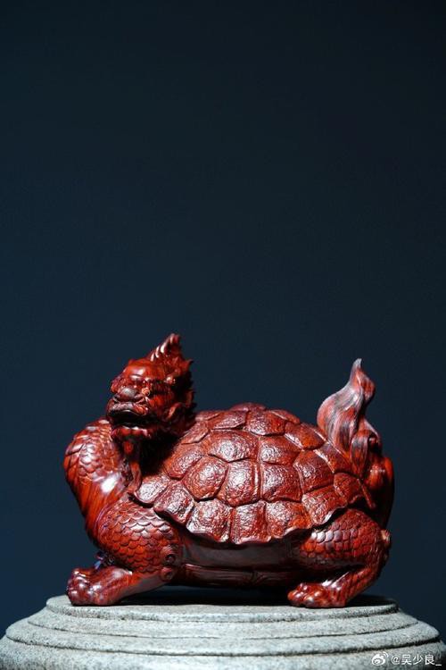 如何找到更多高清龍龜圖片？，尋找更多高清龍龜圖片可通過多種途徑實現