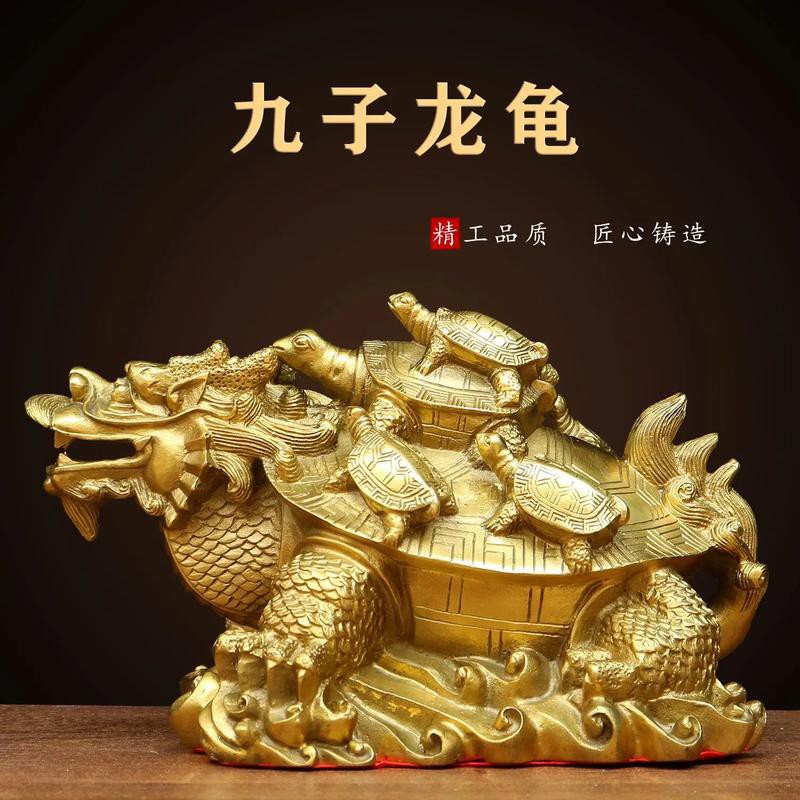 如何找到更多高清龍龜圖片？，尋找更多高清龍龜圖片可通過多種途徑實現
