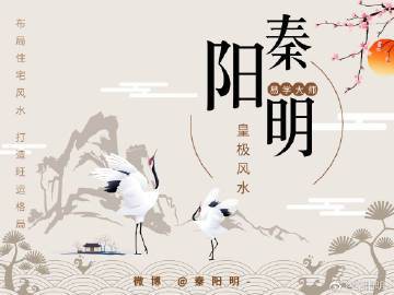 養的龍魚死了預示主人，《養的龍就像程序員會在》