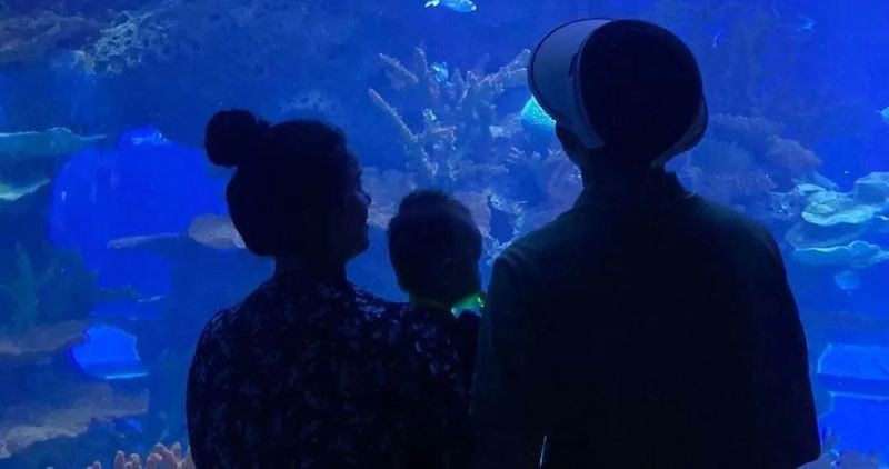 許昌水族店，揭秘許昌水族行業(yè)盈利新模式加盟星水族店運(yùn)營(yíng)神器