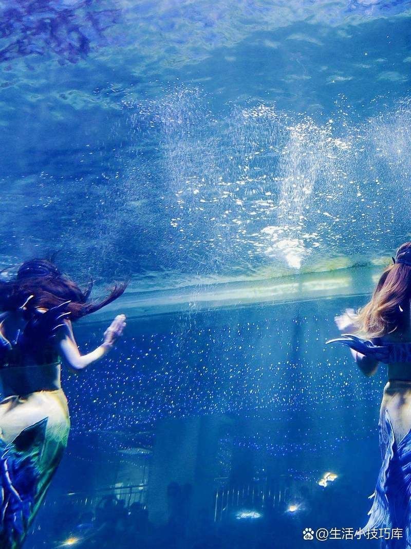 許昌水族店，揭秘許昌水族行業(yè)盈利新模式加盟星水族店運(yùn)營(yíng)神器