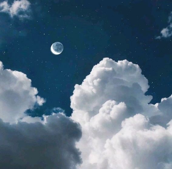 三亞魚缸店，三亞水族世界商店