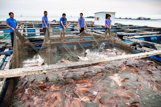 三亞魚缸店，三亞水族世界商店