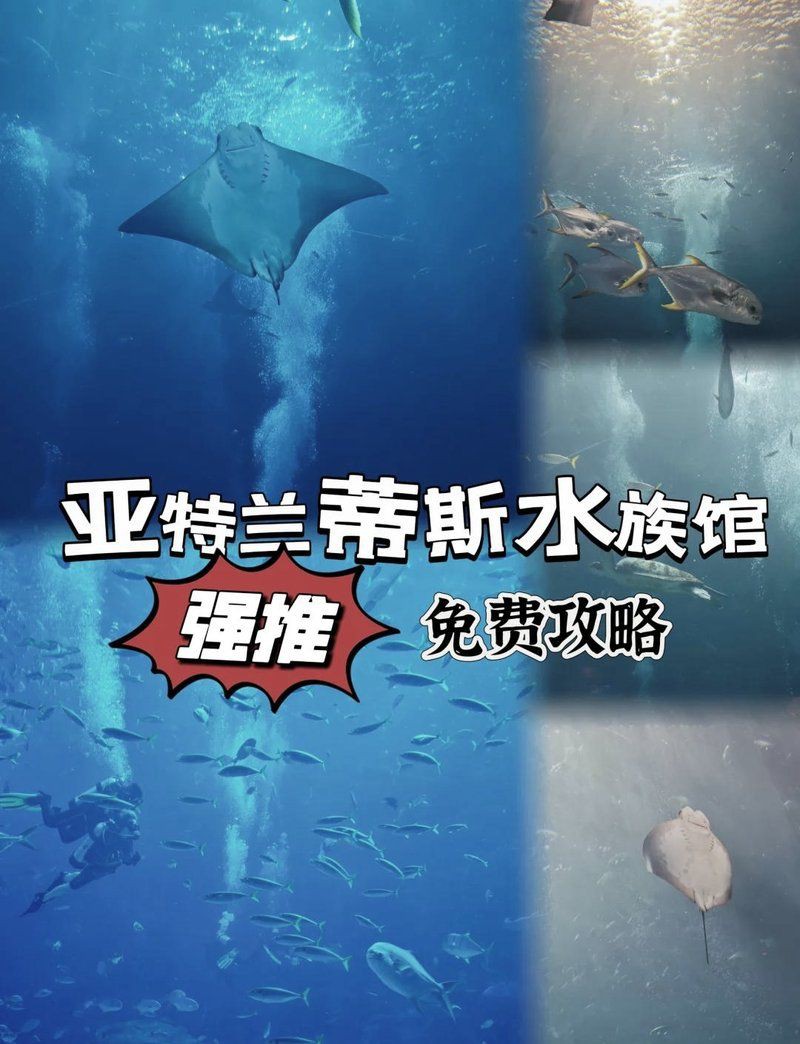 三亞魚缸店，三亞水族世界商店