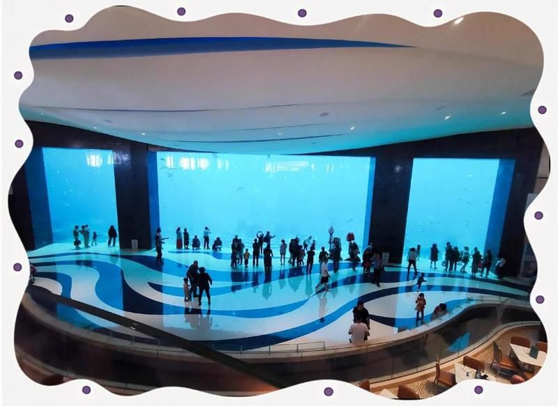 三亞魚缸店，三亞水族世界商店