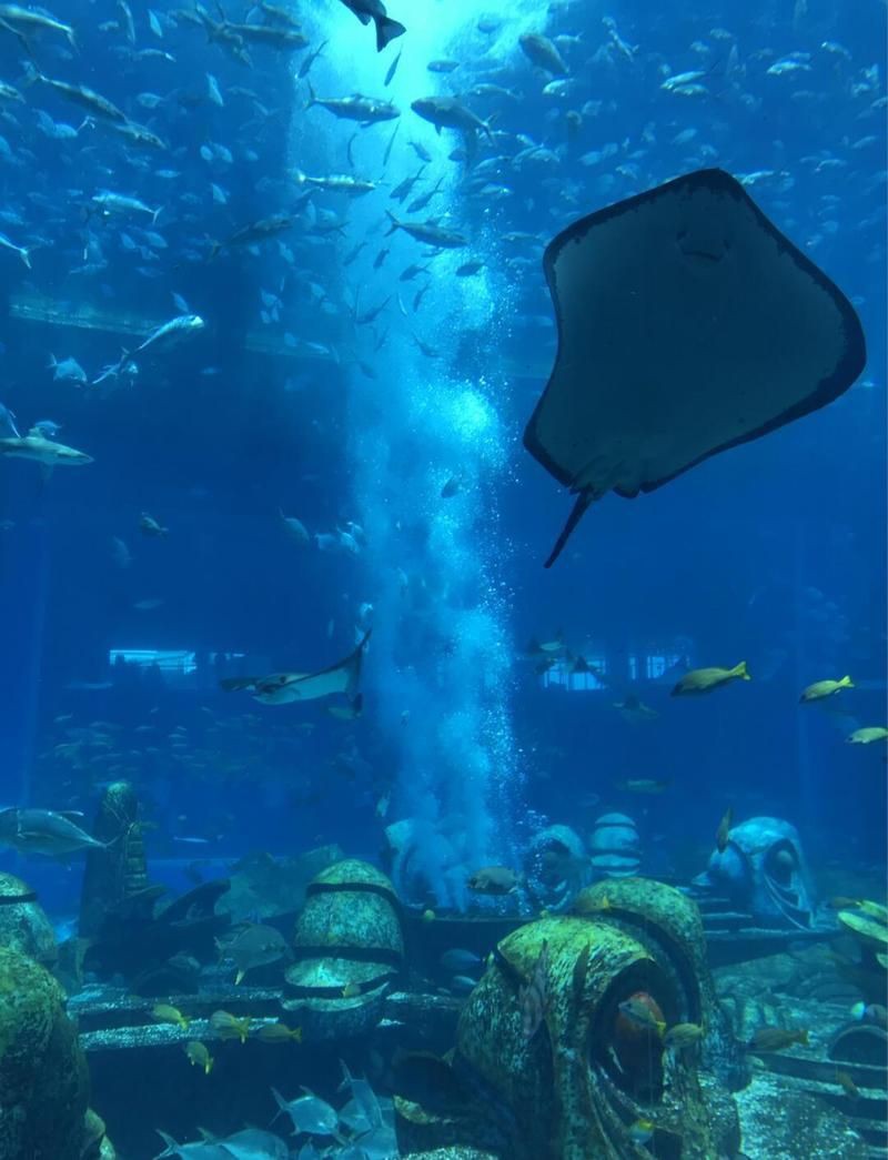 三亞魚缸店，三亞水族世界商店