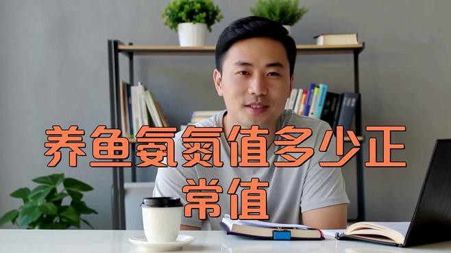 如何判斷紅龍魚是否需要換水？，《如何判斷紅龍魚是否需要換水》