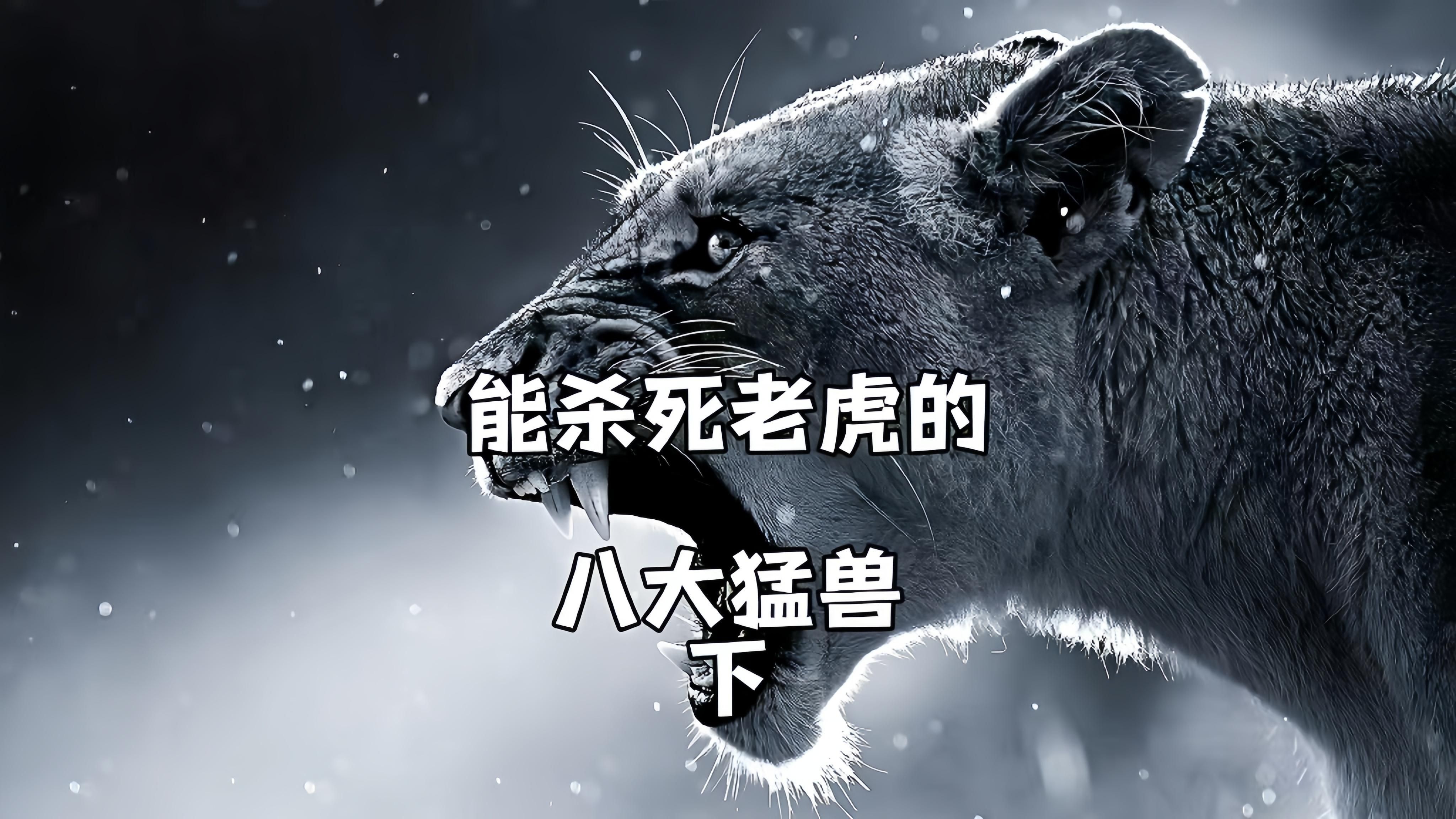 秒殺老虎的三種動物，《秒殺老虎的三種動物》冷知識“單挑”就能殺死老虎的幾大猛獸