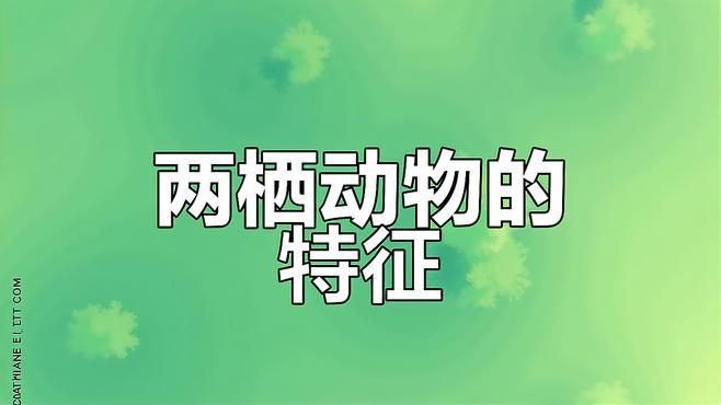 兩棲動物是既有肺又有腮嗎，兩棲動物的呼吸系統具有顯著的階段性特征和多樣性