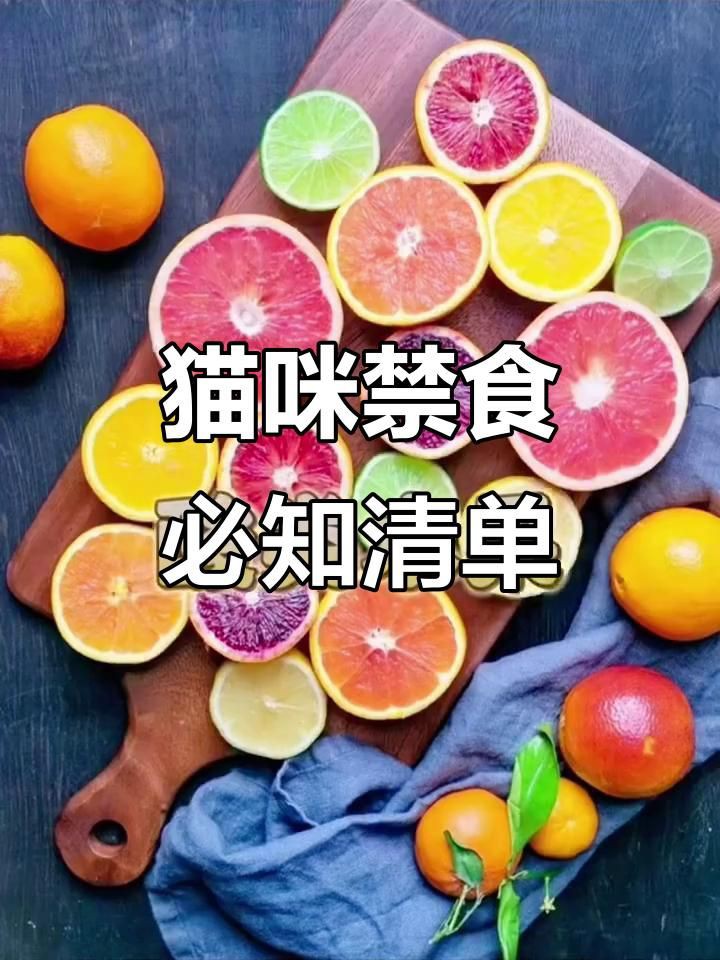 貓最不能吃的10種食物，《貓最不能吃的10種食物》貓咪不能吃的10種食物